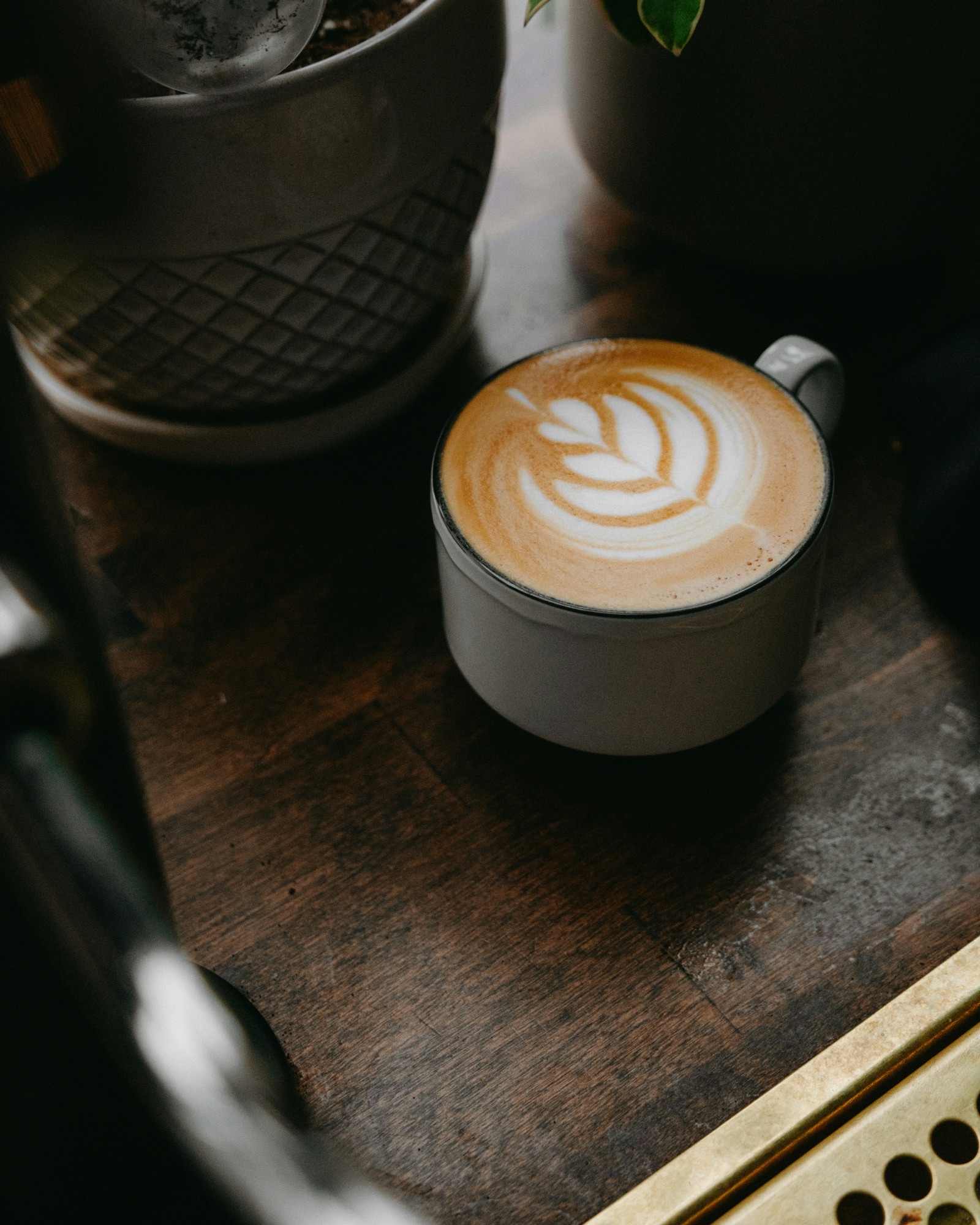 Specialty coffee